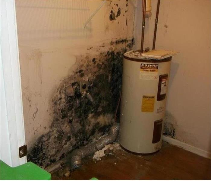mold on a wall behind a water heater