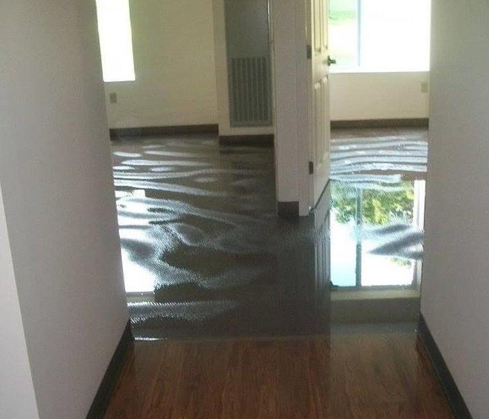 Water soaked carpet from a flood