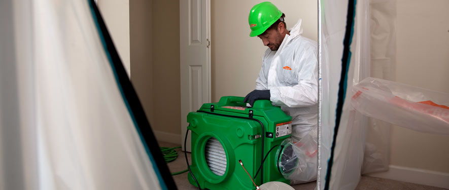 Woodland Hills, CA mold cleanup