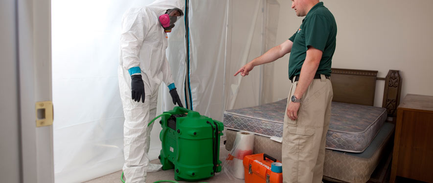 Woodland Hills, CA mold removal process